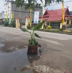 Badan Jalan M.Ali Tak Kunjung di Perbaiki, Masyarakat Letak Pohon Pisang