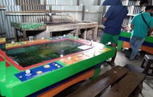 APARAT HUKUM PEMERINTAH KECAMATAN BUKIT KAPUR DIMINTA WARGA AGAR BERTINDAK TEGAS AMANKAN GELPER TIDAK PILIH KASIH
