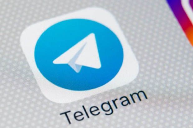 Link Download Belatung Viral Telegram