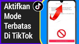 Mode Terbatas Tiktok, Begini Cara Mengaktifkan