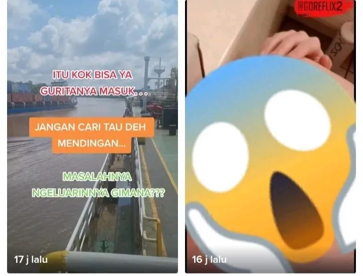 Gurita Viral Tiktok