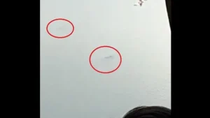 Ikan Raksasa Ranu Pakis, Videonya Mengerikan