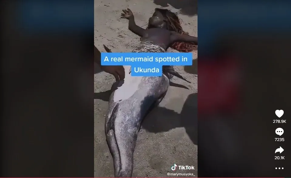 Video Mermaid Human