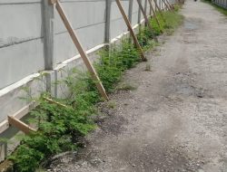 Pagar Panel Beton Awal Bros Jadi Sorotan Masyarakat Sekitar