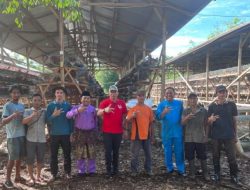 Bupati Meranti Optimis Swasembada Telur di Tahun 2024