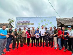 Apical Group Bersama Pemerintah Tanam 2000 Bibit Mangrove Di Pesisir Pantai