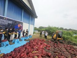 Bea Cukai Dumai Musnahkan 24 Ton Bawang Ilegal, Hasil Penindakan Operasi di Bengkalis