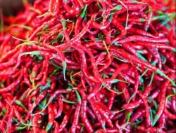 Harga Cabai Merah Melambung, Picu Inflasi di Riau 