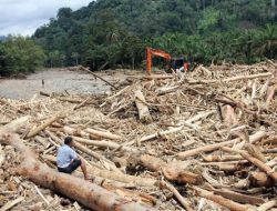 Citra Satelit Rekam Deforestasi Brutal di Sumut, Walhi Bantah Bobby