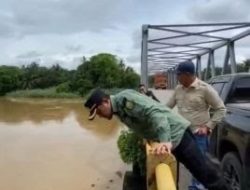 Dinas PUPR Riau Tinjau Banjir Jalan Sontang-Duri, Siapkan Strategi Penanganan Cepat