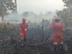 Pertamina Dumai Turunkan Tim Khusus Jinakkan Kahutla di Tanjung Palas