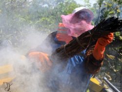 Ancaman Karhutla, Legislator Minta Pemancing dan Pencari Madu Hati-hati Beraktivitas