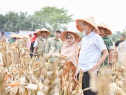 Wali Kota Paisal dan Kapolres Dumai Tanam Jagung Serentak, Dukung Program Swasembada Pangan