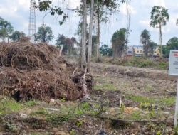 13 Hektare Hutan di Jantung Kota Siak Dibabat, Izin PT Ikadaya Malah Diperpanjang