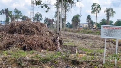 13 Hektare Hutan di Jantung Kota Siak Dibabat, Izin PT Ikadaya Malah Diperpanjang