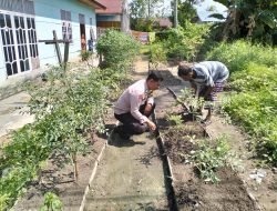 Bhabinkamtibmas Sukajadi Bersama Warga Kelola Lahan Cabai untuk Dukung Ketahanan Pangan