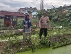 Tanaman Cabai Warga Bintan Dipantau Bhabinkamtibmas Demi Ketahanan Pangan