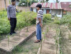 BRIPKA Bob Sinaga Monitoring Kebun Cabai Warga di Sukajadi