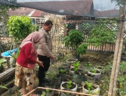 Bhabinkamtibmas Dumai Kota Lakukan Pengecekan Ketahanan Pangan, Tanam Terong dan Cabai di Jalan Tenaga