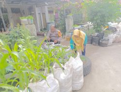 Polri Dorong Kemandirian Pangan, Bhabinkamtibmas Laksamana Turun ke Lapangan