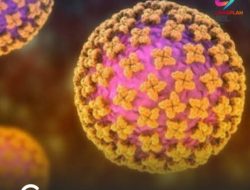 Pemprov Pastikan Belum Ditemukan Virus Hanta di Riau