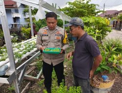 Bhabinkamtibmas Kelurahan Rimba Sekampung Laksanakan Pengecekan Ketahanan Pangan Bergizi dengan Menanam Selada dan Pakcoy
