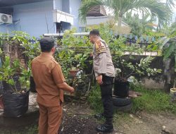 Bripka Rian Akbar Tinjau Budidaya Terong Warga dalam Program Ketahanan Pangan Bergizi