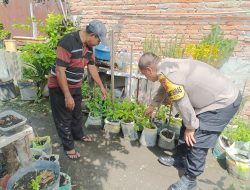 Pemanfaatan Pekarangan Produktif, Bripka Tambunan Pantau Tanaman Kacang Panjang