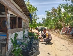 Bhabinkamtibmas Rimbas Lakukan Pengecekan Ketahanan Pangan Bergizi, Pantau Tanaman Cabai Warga