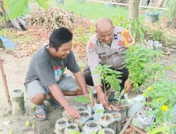 Aipda Anwar Dedi Pantau Ketahanan Pangan Bergizi, Warga Laksmana Kembangkan Tanaman Cabai
