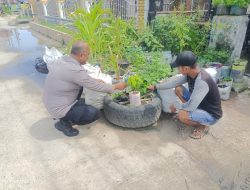 Bhabinkamtibmas Kelurahan Laksamana Cek Program Ketahanan Pangan Bergizi, Tanam Cabai di Jalan Cendrawasih