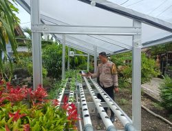 Bhabinkamtibmas Kelurahan Rimba Sekampung Tanam Selada dan Pakcoy Dukung Ketahanan Pangan Bergizi