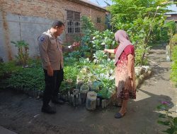 Bhabinkamtibmas Kelurahan Dumai Kota Cek Program Ketahanan Pangan Bergizi, Fokus pada Budidaya Terong