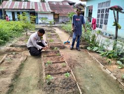 Bhabinkamtibmas Kelurahan Sukajadi Cek Program Ketahanan Pangan Bergizi, Tanam Cabai di Jalan Bintan